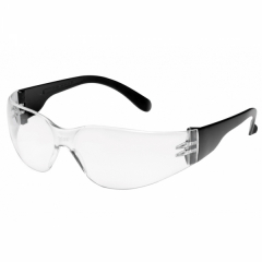 Schutzbrille Champ klar EN 166